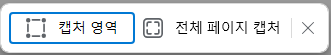 전체 페이지 캡처

